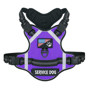 PS3536