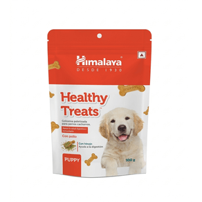 Gemini_Generated_Image_rayl6jrayl6jrayl